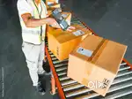Scanning and Packaging