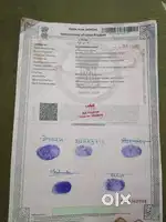 Yamuna expressway par khet hai ek bigha khapper pur police chaus