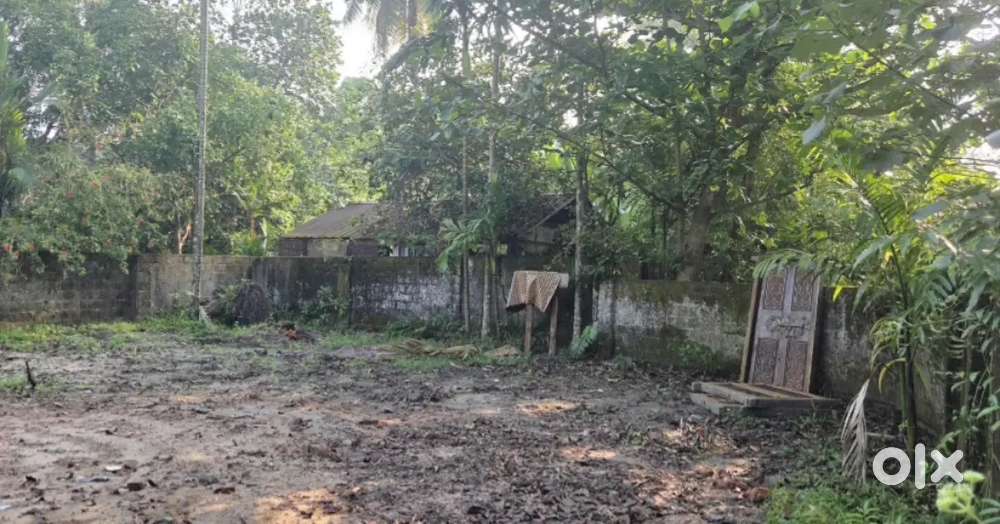 5 cent plot Cherthala KSRTC bus stand കിഴക്കുവശം മാറി