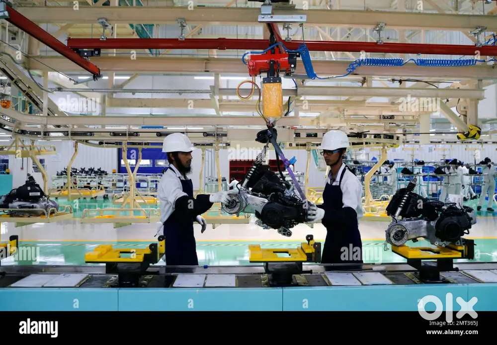 Were hiring freshers for job