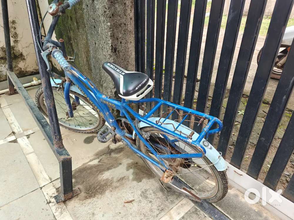 Children cycle