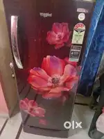 Whirlpool Fridge
