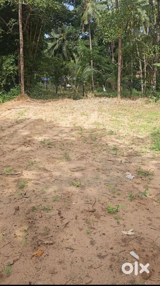 പയ്യോളി നെല്ലിയേരി മാണിക്കൊത്