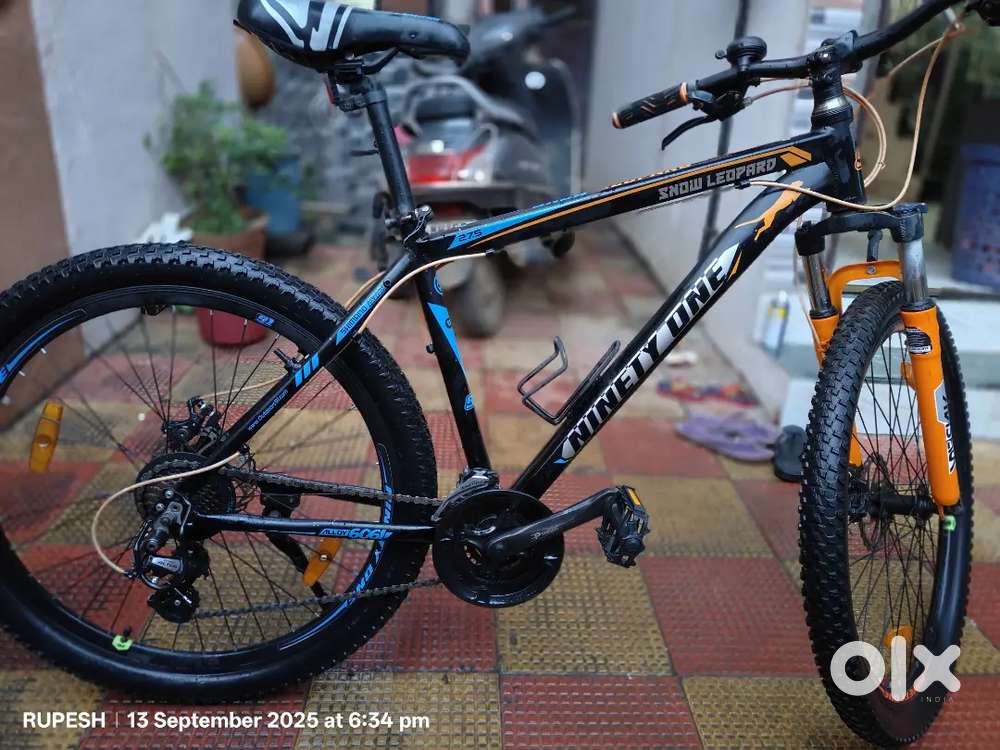 Ninety one Snow leopard 27.5