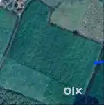 I want to sell 1 bigha land at rs 2000000