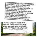 പാലക്കാട് ടൗണിൽ വീടുകൾ വിലയ്ക്കും, വാടകയ്ക്കും, ഫ്ലാറ്റുകൾ വിലയ്ക്കും