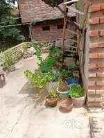 Sadhwada gali bariyaghat