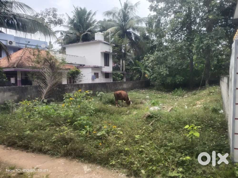 Baypass Bus service 100 MTR 5 cent House plot Kazhakuttam Chanthavila