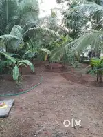 Plot for sale 10 cent