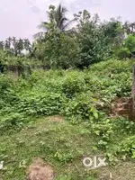02 কঠা ম্যাদি মাটি বিক্ৰী কৰা হব ৰাণী বজাৰৰ কাশতে।
