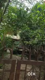Themed cafe