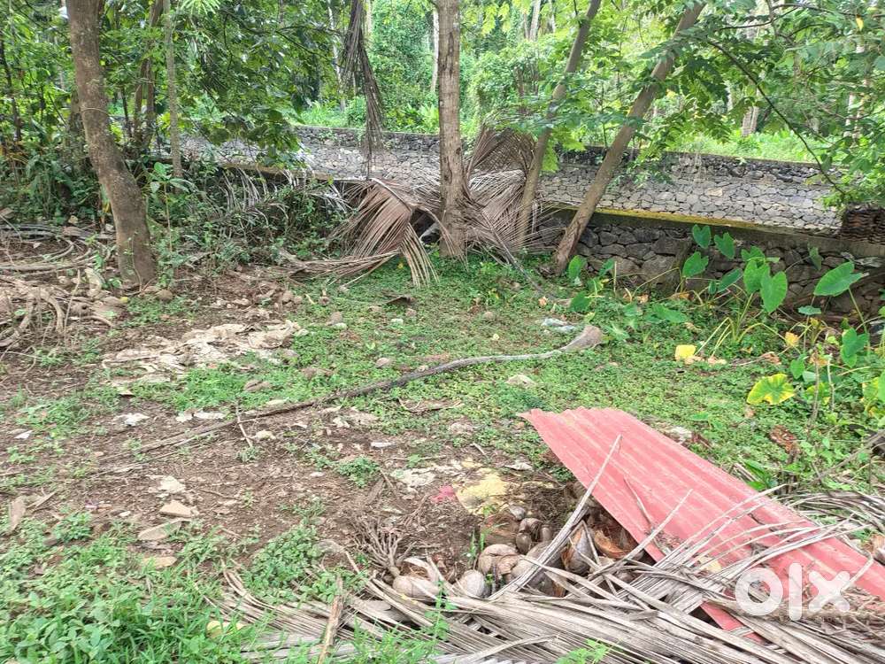 8.5 cent plot sale 2 lakhs per sent