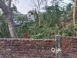 Ready to sell myadi land along with covered Boundary wall in Boragaon