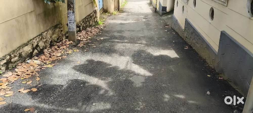 16.500 CENTS PRIME RESIDENCIAL PLOT FOR SALE NEAR MUTTADA VAYALIKKADA