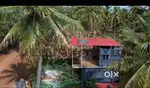 Invest for your kids future 6534sqft Farm land for sale