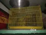 Cage 2ft...