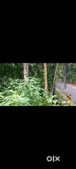 4 sent plot