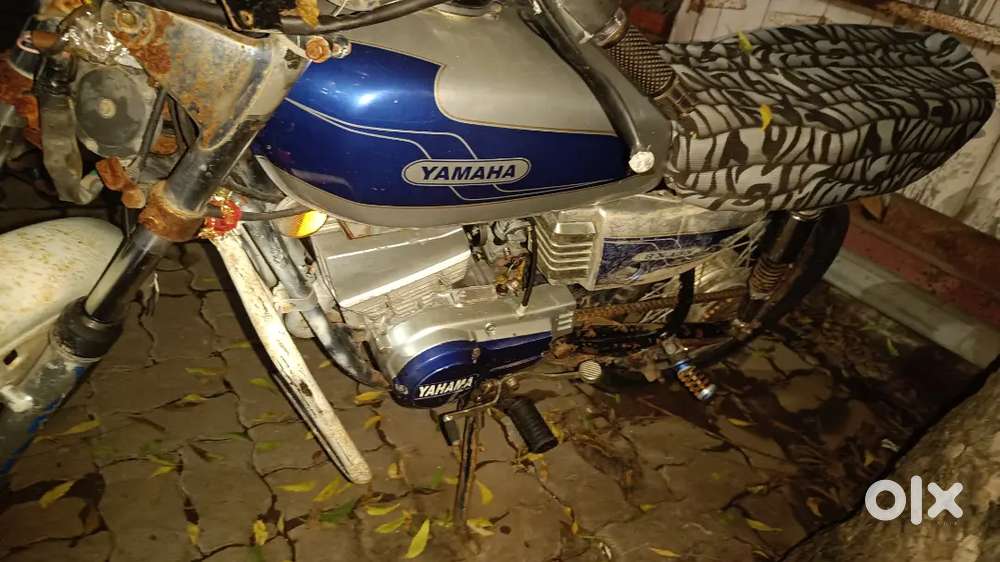 maha Rx135 pina pepar ke ha pistan pakdi ha