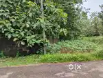 NEDUNGOLAM KOCHALUMOODU  8 SENT