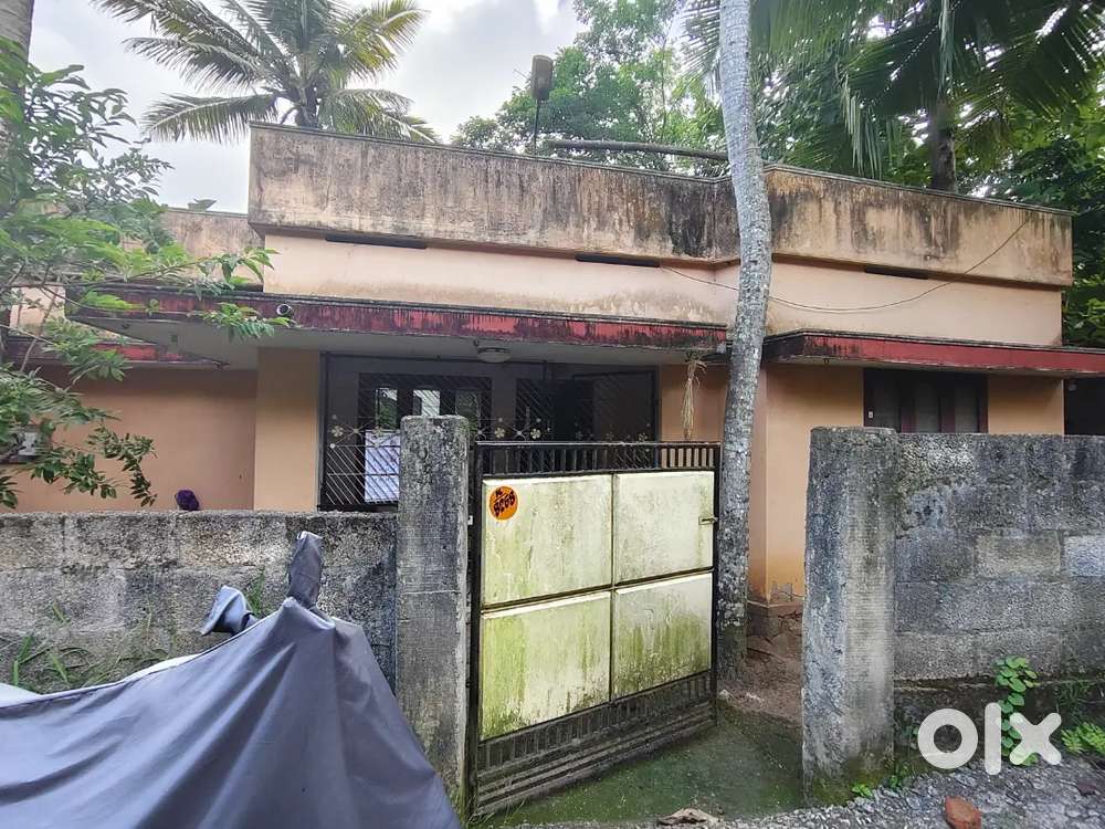 5.6 Cent Plot with house for sale near Vellayani devi Temple