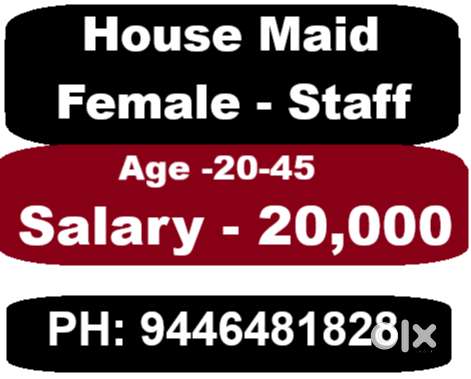 House Helper- Lady