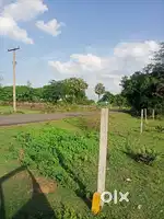 Lands&Plots for Sale Across Chennai–Residential,Commercial,Industrial