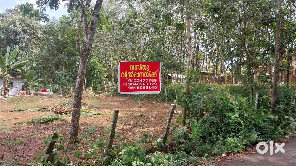 താമരക്കുളം ചത്തിയറയിൽ 19സെന്റ് 2 side റോഡോടുകൂടിയ വസ്തു വില്പനക്ക്