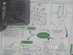 Physics Wallah question bank class 10 science