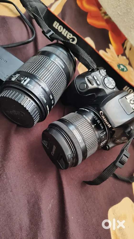 Canon 200d with 18- 55 STM lens and 55 - 250 lens STM