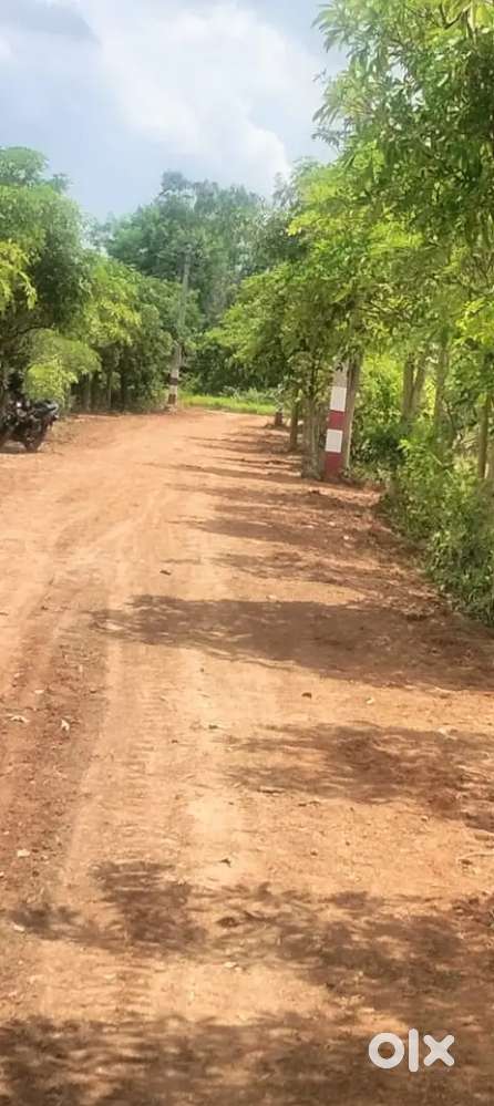 Fully developed plots available at Balipada and Ankushpur