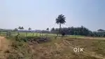 Agriculture land 6.85 Acres full fencing water free current with legal