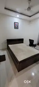 Sleepy cat ortho mattress queen size
