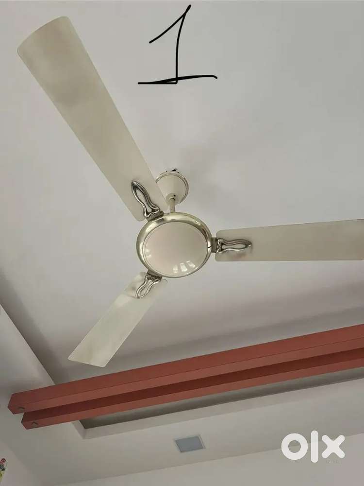 3 fan 3000