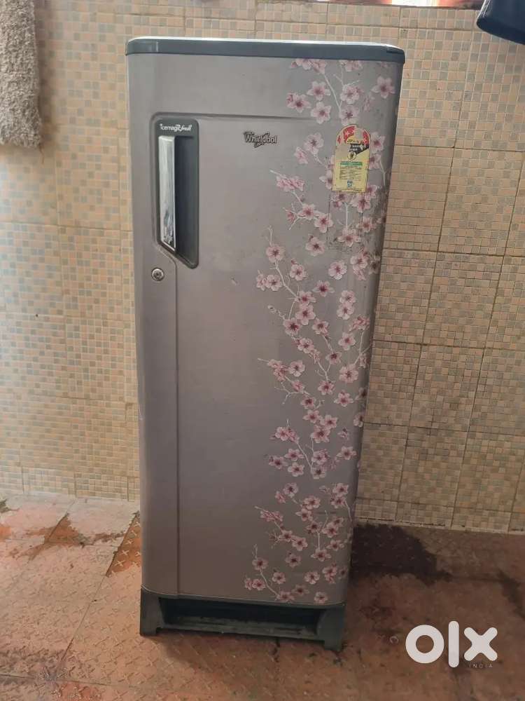 10 year old fridge