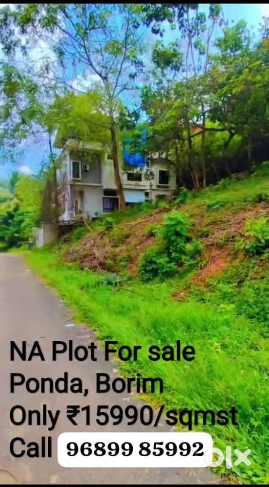 NA PLOT FOR SALE, PONDA, AREA 300SQ MTS, PRICE@₹15000/SQ MTS