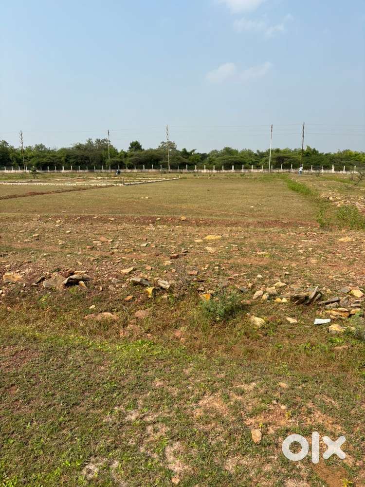 Smart city ke peeche nagar van ke pass nectak jheel ke pass