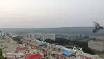 5bhk pent house for rent semi farnishad sagar green hills Kolar Road