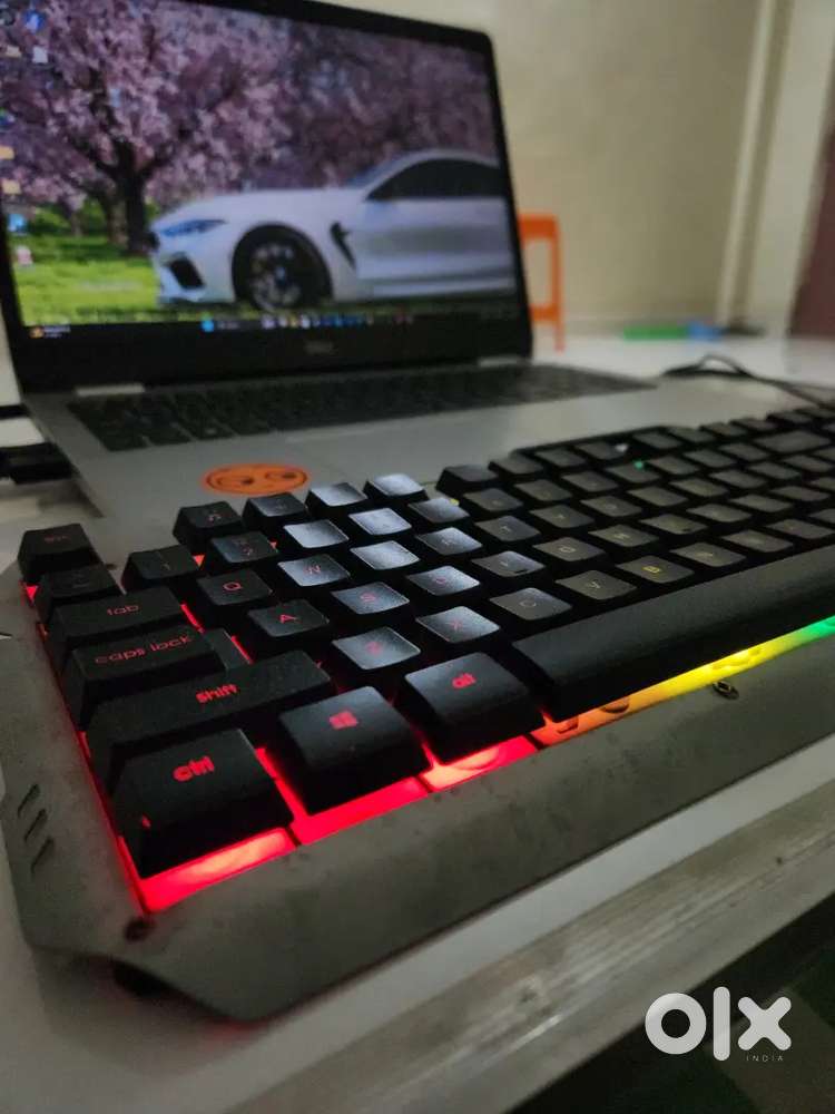 RGB Keyboard and RGB Mouse