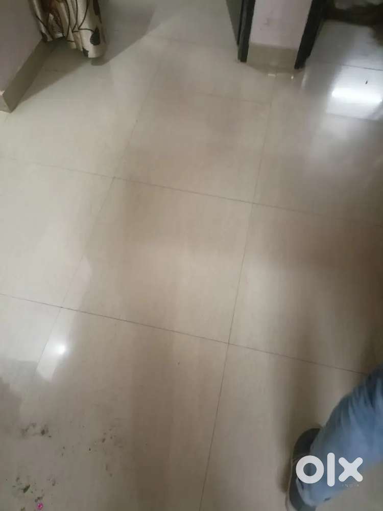 1 BHK flat available for rent in Pancheel apartment, Gomti Nagar