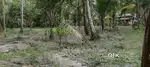 32 CENT PLOT FOR SALE URGENTLY AT K.S.PURAM