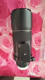 Nikon 300 mm prime tele lens and Fujifilm superzoom camera.