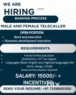 Telecalling executive