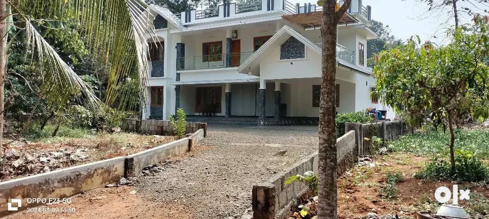Muvattupuzha aanikkad 54cent land3000sqft house for sale