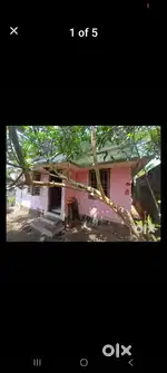 ഒരു നില വീട് മൂന്ന് ബെഡ്റൂം, 1 ബാത്റൂം വന്ന് കണ്ട് അഭിപ്രായം പറയുക