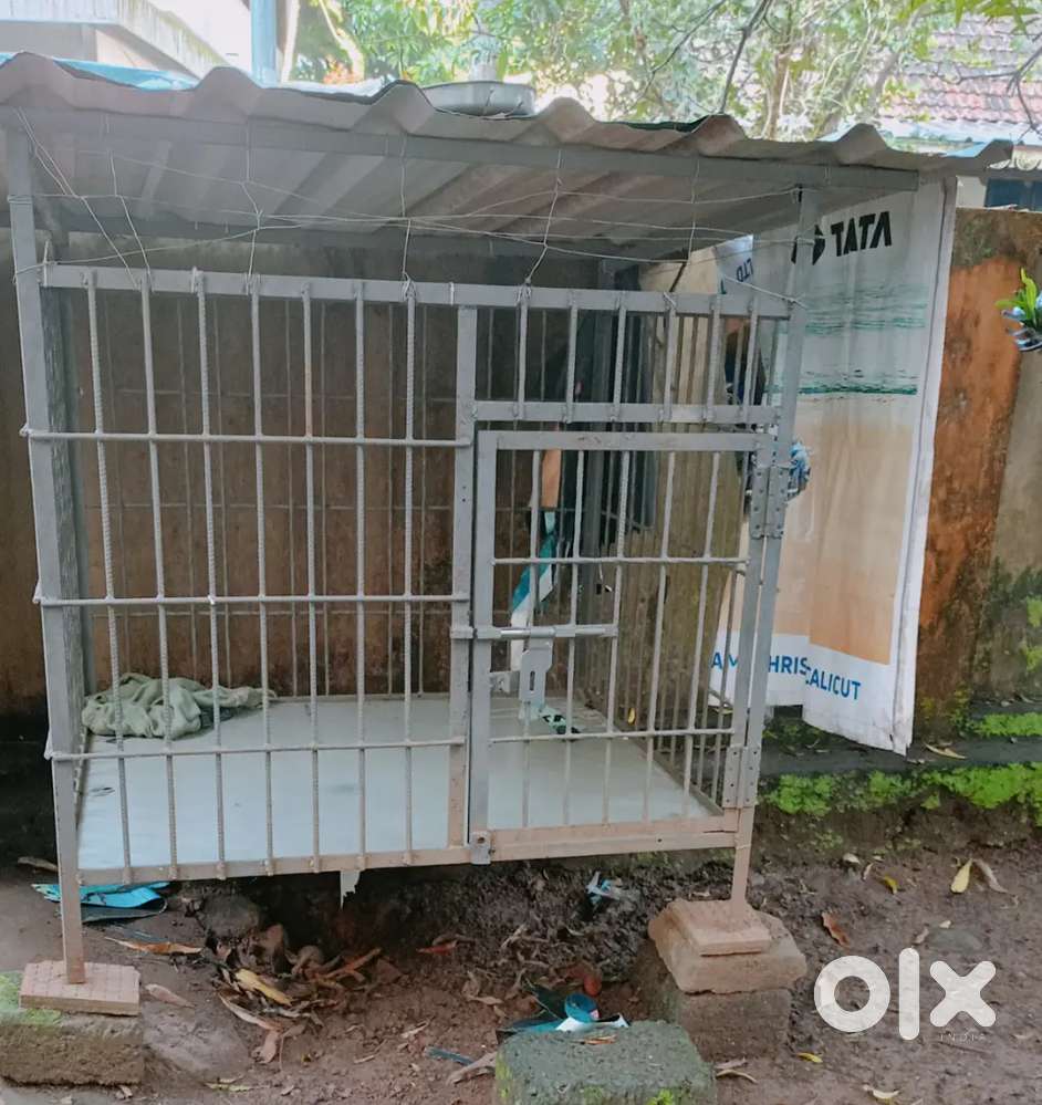 Cage   for  Dog