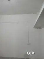 Bachelor for rent
