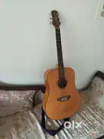Ashton D 20 Guitar