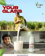 Milk Delivery Job - ķk nagar , valasaravakkam porur,ramapuram manapakk