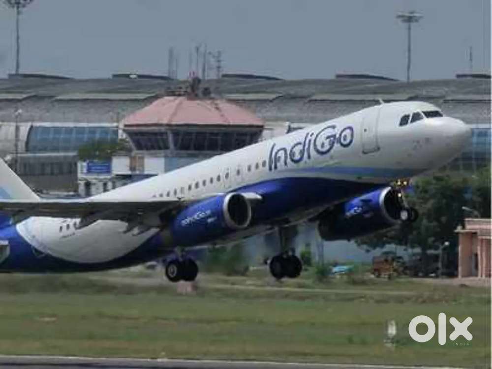 Apply for ground staff and ticketing in Cochin international airport