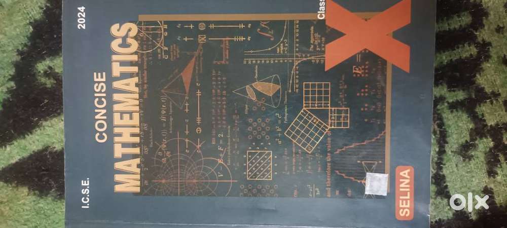 Salina 10th ICSE BOOK MATHEMATICS